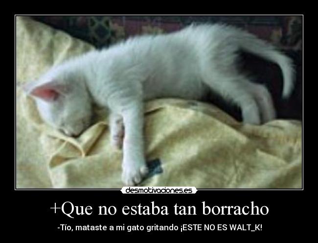 +Que no estaba tan borracho -