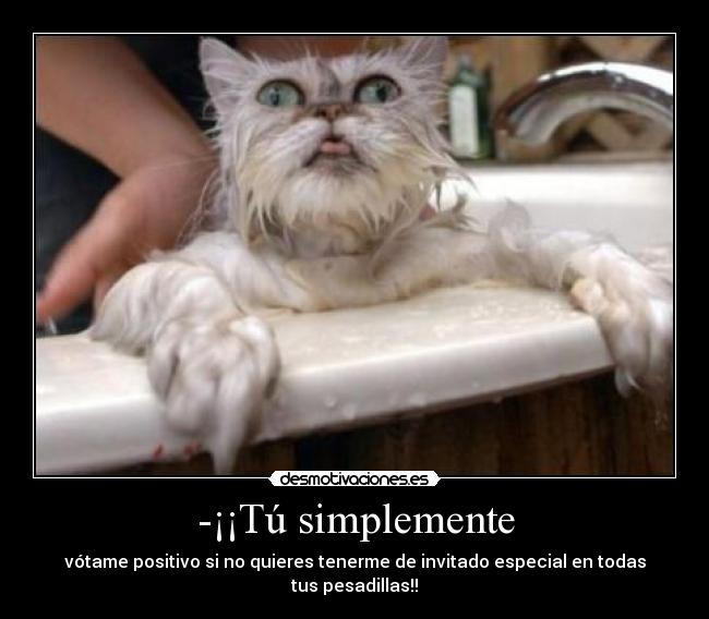 carteles gatosloco desmotivaciones