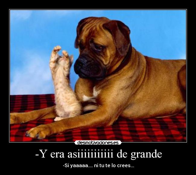 -Y era asiiiiiiiiiii de grande - 