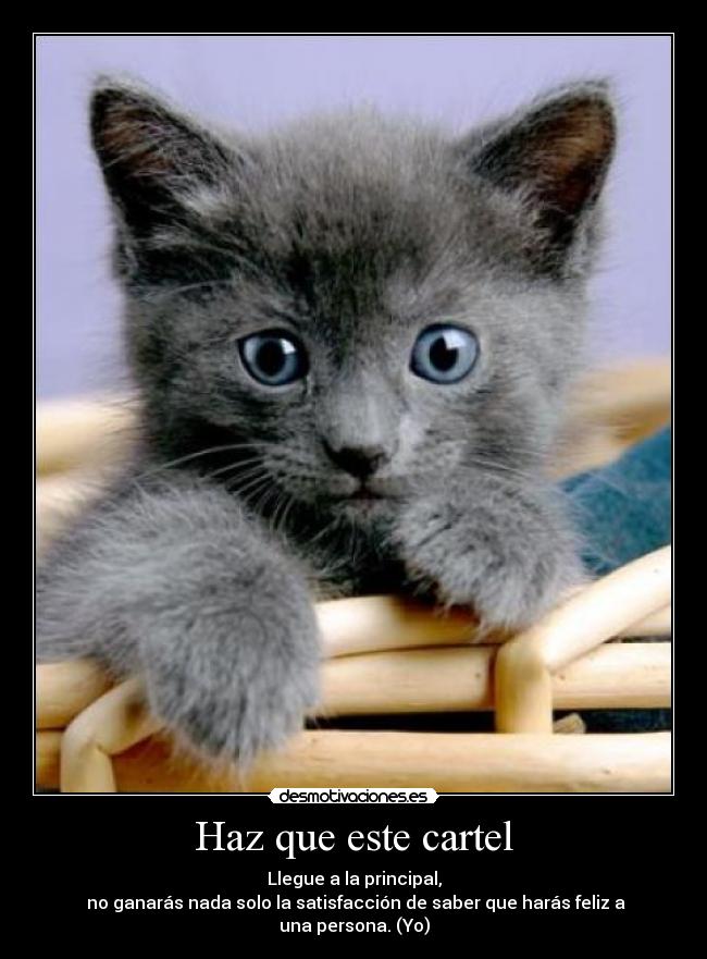 Haz que este cartel -