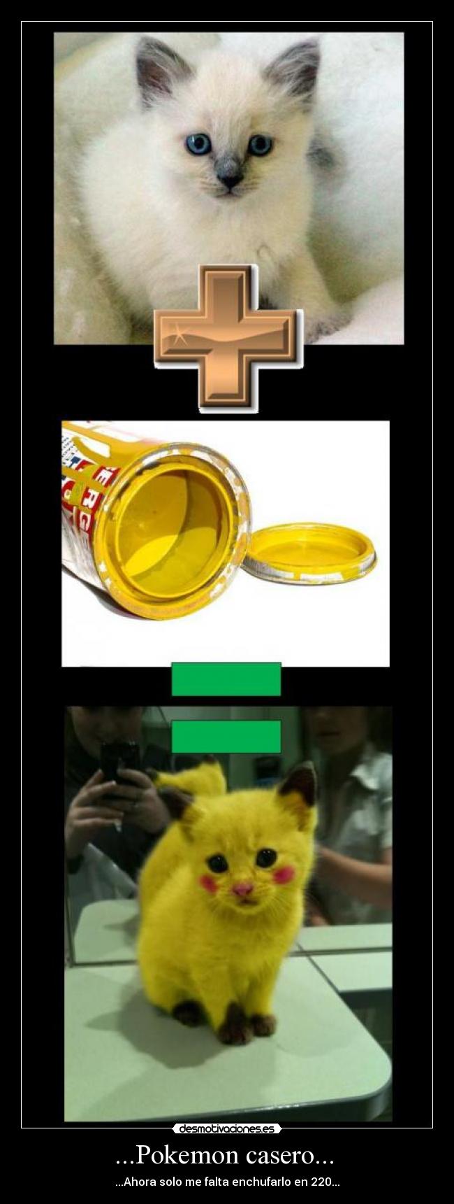 ...Pokemon casero...  - 