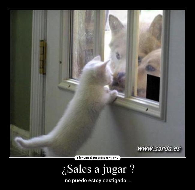 carteles sales jugar desmotivaciones