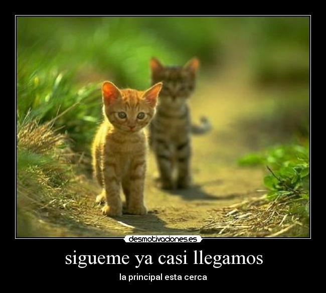 sigueme ya casi llegamos - la principal esta cerca