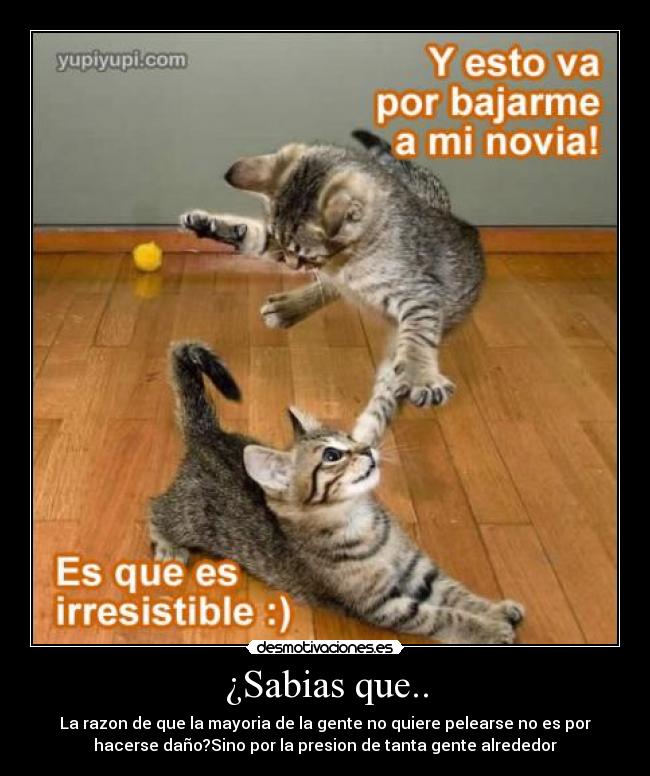 ¿Sabias que.. - La razon de que la mayoria de la gente no quiere pelearse no es por
hacerse daño?Sino por la presion de tanta gente alrededor