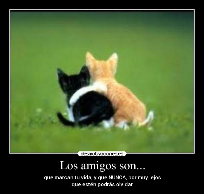 Los amigos son... - que marcan tu vida, y que NUNCA, por muy lejos
que estén podrás olvidar