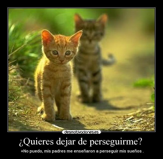 ¿Quieres dejar de perseguirme?  -  +No puedo, mis padres me enseñaron a perseguir mis sueños .