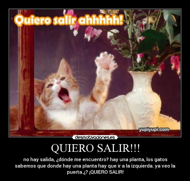 carteles carcasro desmotivaciones