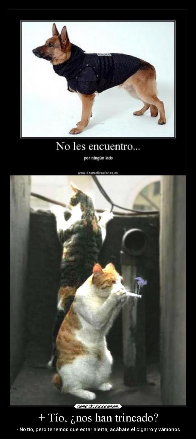 + Tío, ¿nos han trincado? -