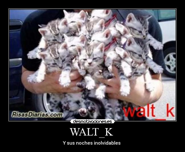 WALT_K  - 