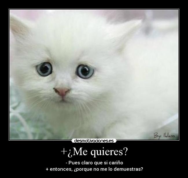 +¿Me quieres? - - Pues claro que si cariño
+ entonces, ¿porque no me lo demuestras?