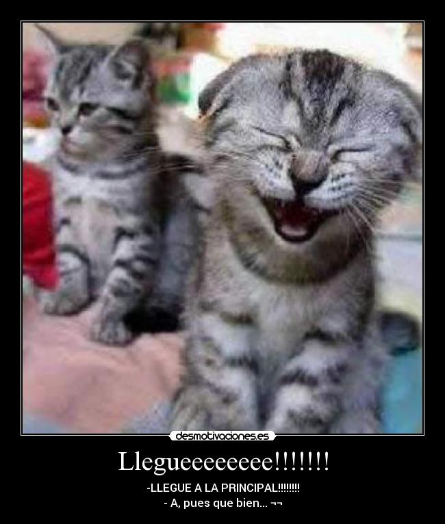 Llegueeeeeeee!!!!!!! - 