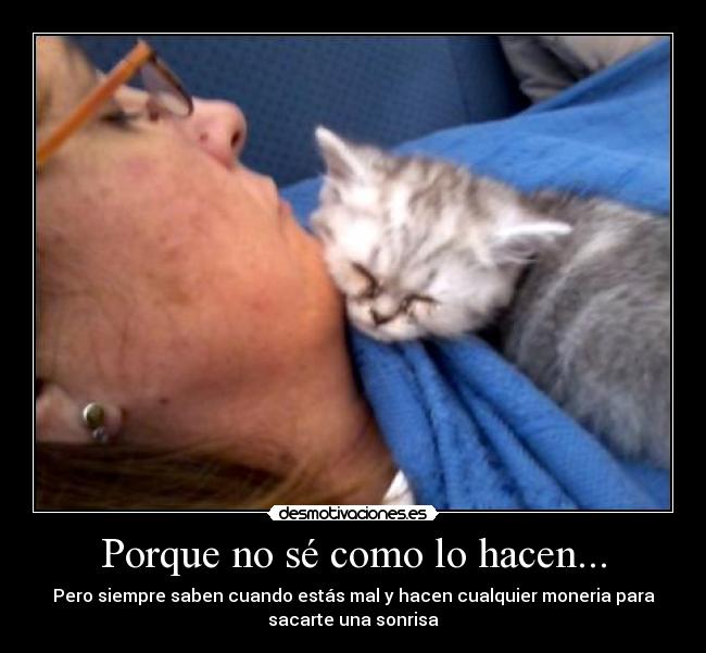 Porque no sé como lo hacen... - 