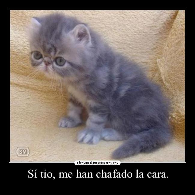 Sí tio, me han chafado la cara. -    