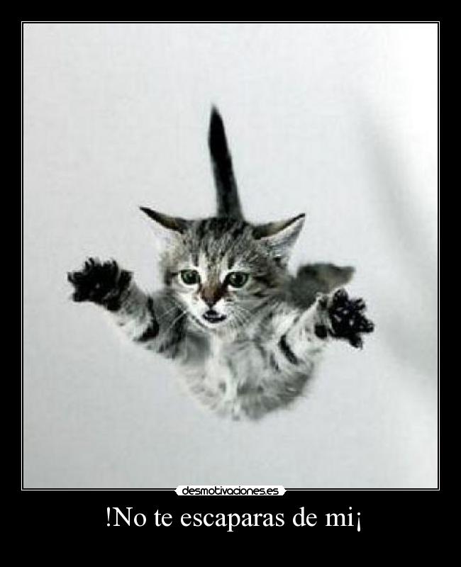 !No te escaparas de mi¡ -