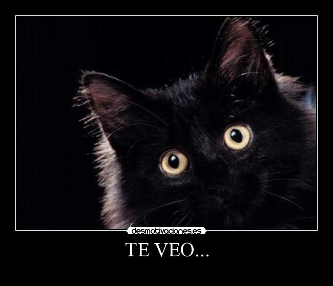 TE VEO... - 