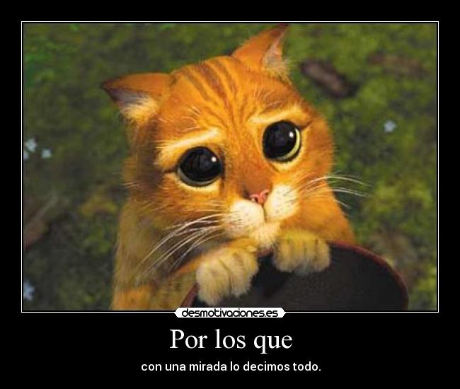 Por los que - con una mirada lo decimos todo.