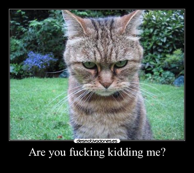 Are you fucking kidding me? - 