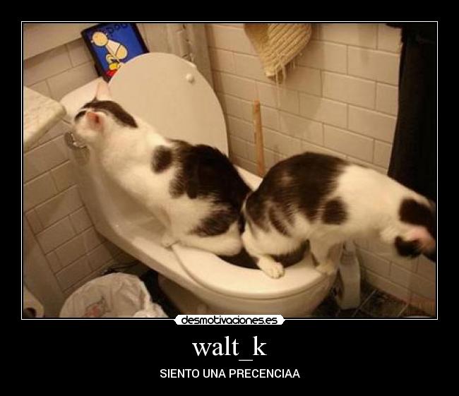 walt_k - SIENTO UNA PRECENCIAA