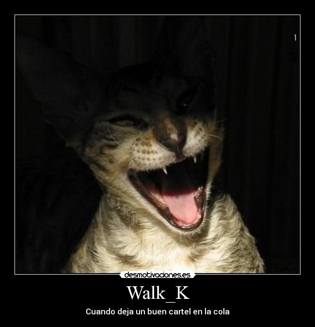 Walk_K - Cuando deja un buen cartel en la cola