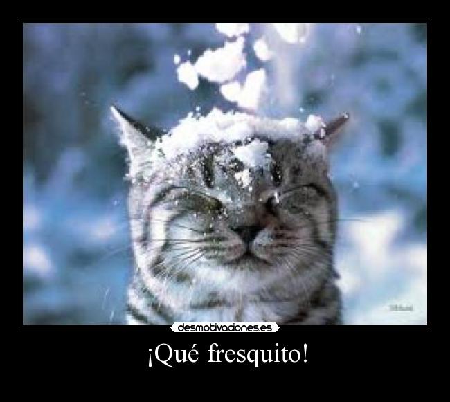 carteles frio desmotivaciones