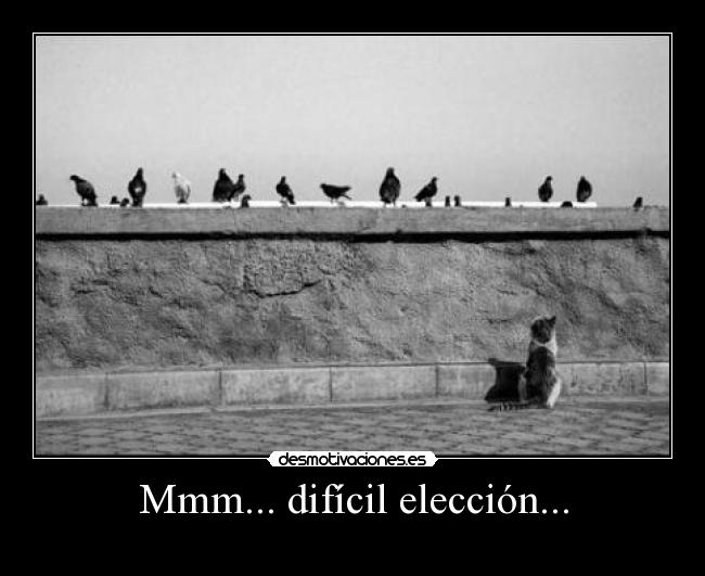 Mmm... difícil elección... -