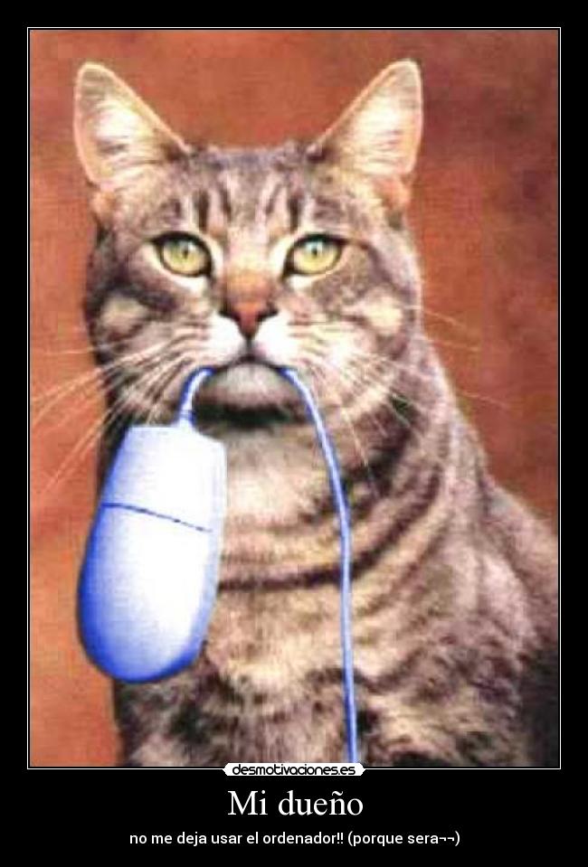 Mi dueño - 
