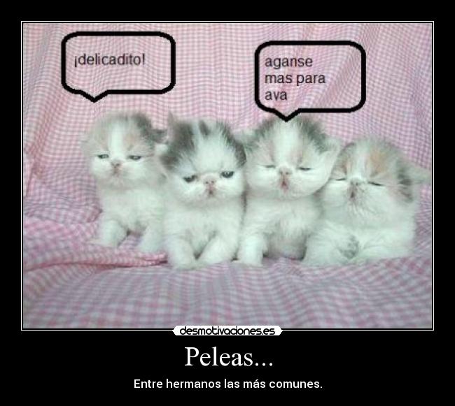 Peleas... -