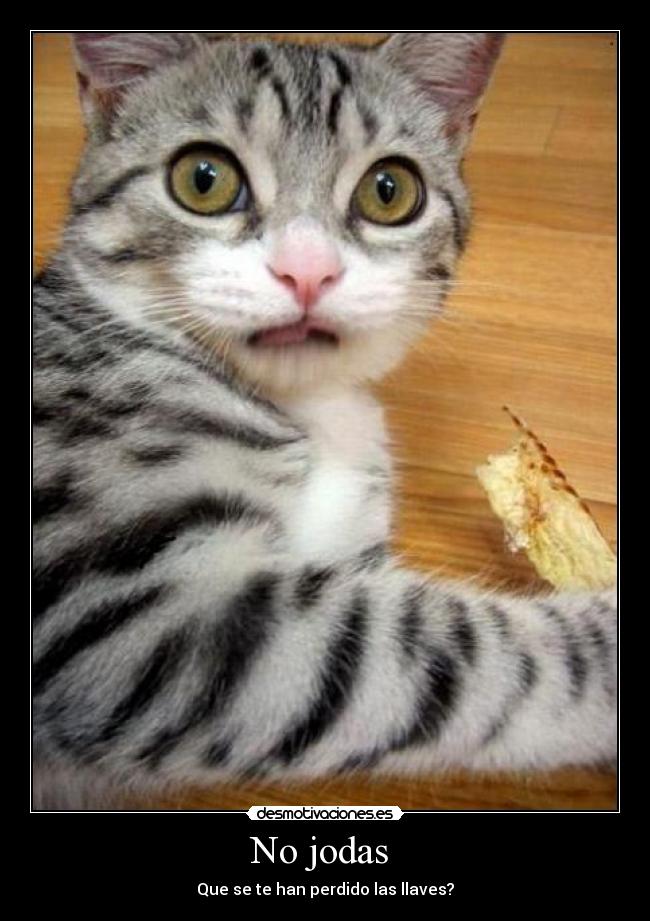No jodas - Que se te han perdido las llaves?