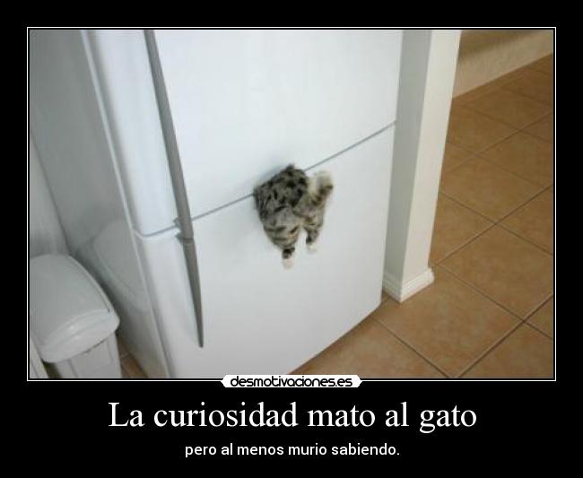 La curiosidad mato al gato - 