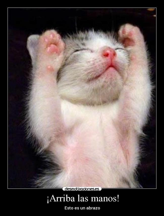 ¡Arriba las manos! - 