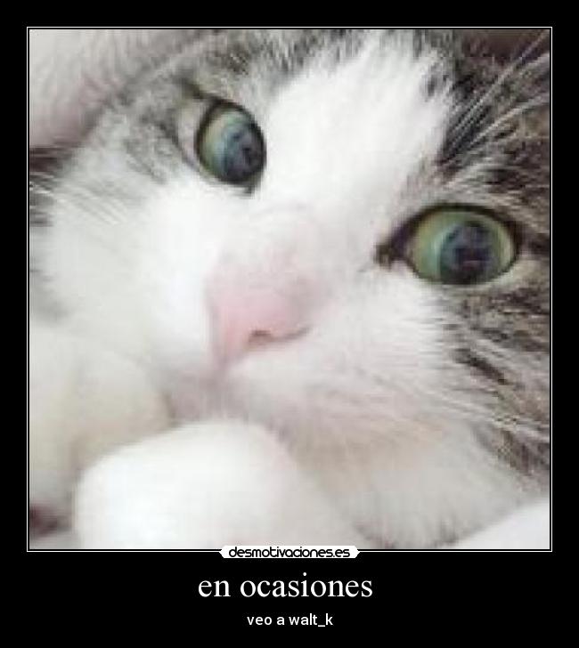 en ocasiones - veo a walt_k