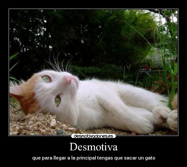 Desmotiva - 