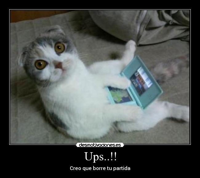 Ups..!! - Creo que borre tu partida