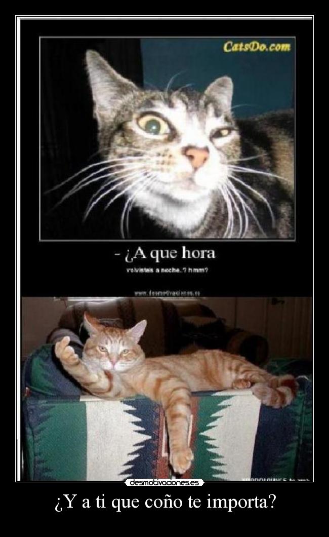 ¿Y a ti que coño te importa? - 