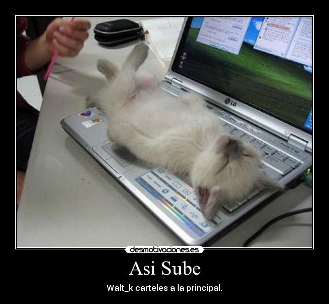 Asi Sube - 