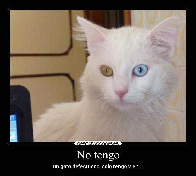 No tengo - 