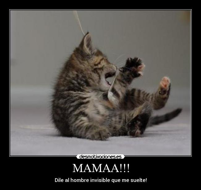 MAMAA!!! - 