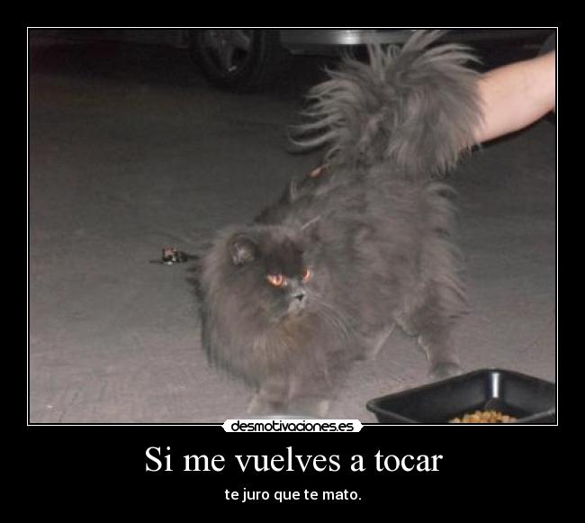 Si me vuelves a tocar - te juro que te mato.