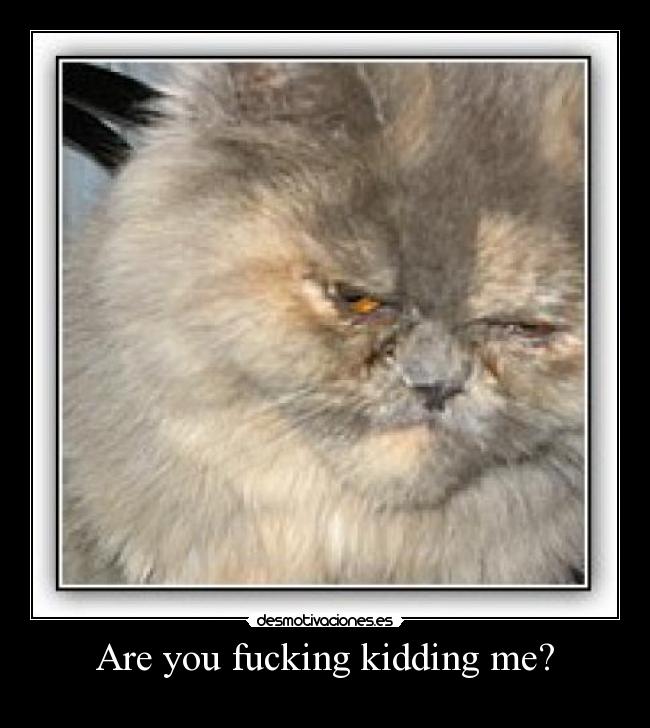 Are you fucking kidding me? -