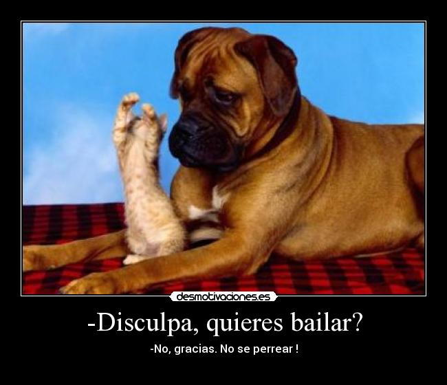 -Disculpa, quieres bailar? - -No, gracias. No se perrear !
