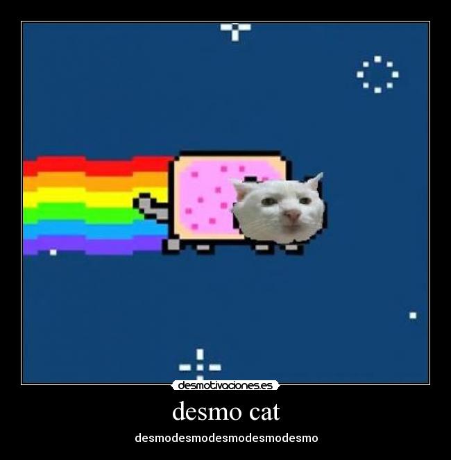 desmo cat - desmodesmodesmodesmodesmo