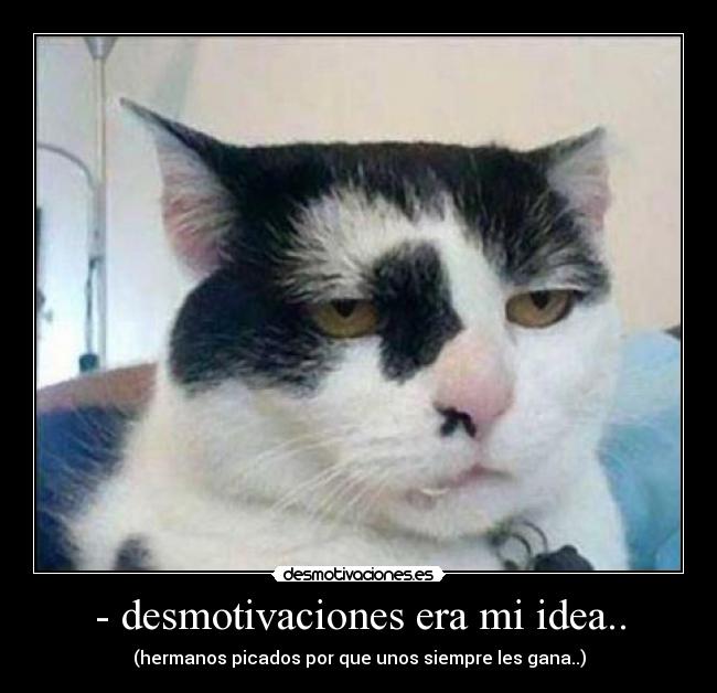 - desmotivaciones era mi idea.. - 
