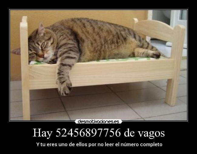 Hay 52456897756 de vagos -