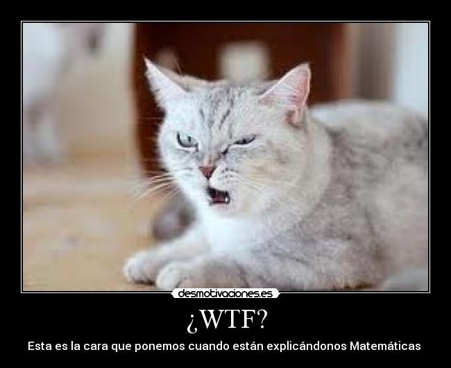 ¿WTF? -
