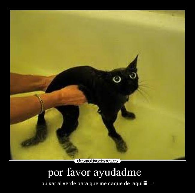 carteles kevin2310 desmotivaciones