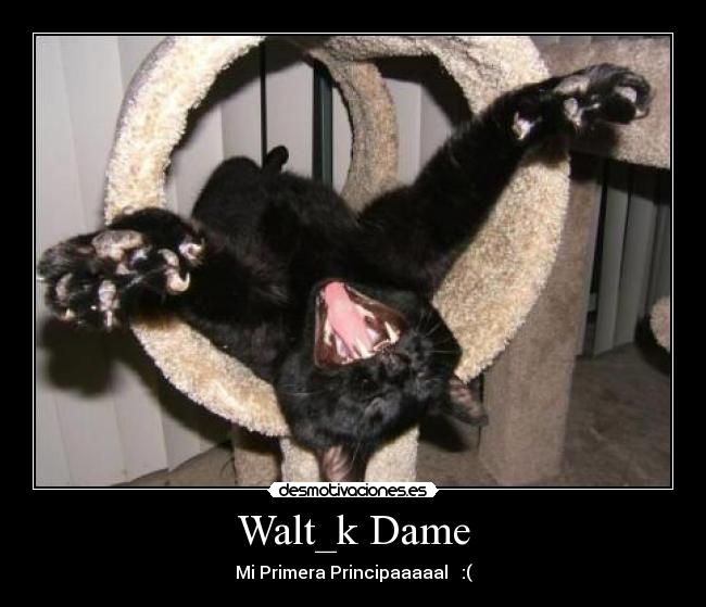 Walt_k Dame -