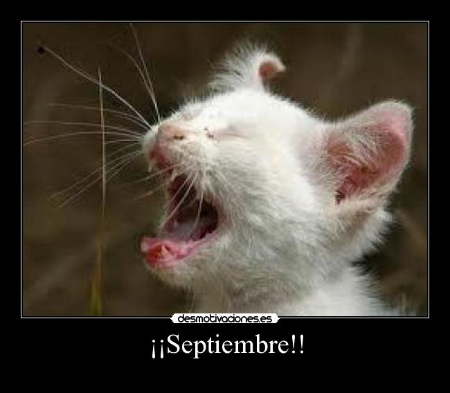 ¡¡Septiembre!! -
