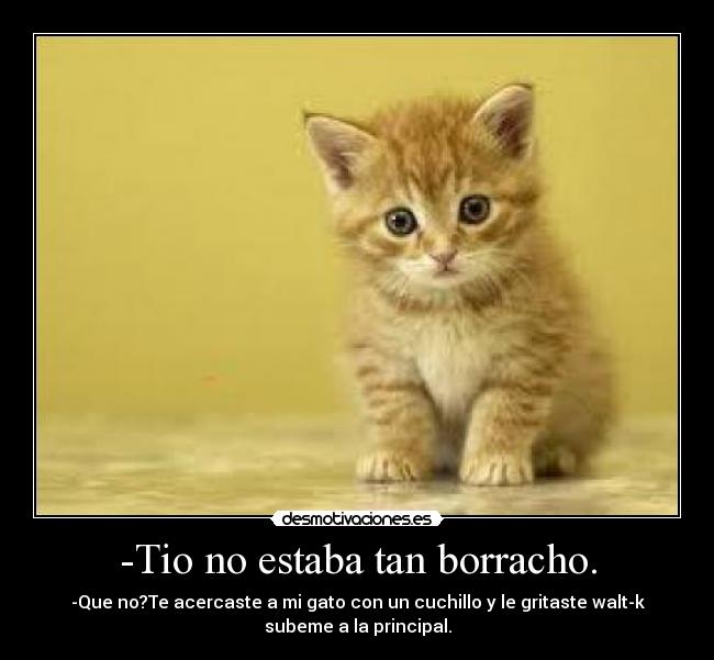 carteles borracho desmotivaciones