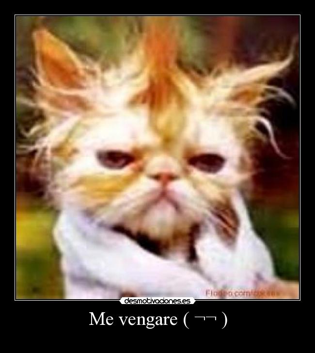 Me vengare ( ¬¬ ) -