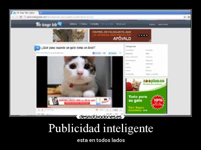 Publicidad inteligente -